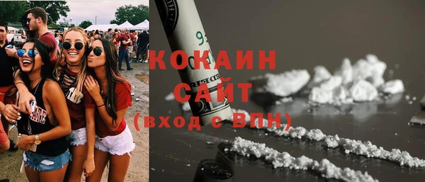 соль ск Богородск