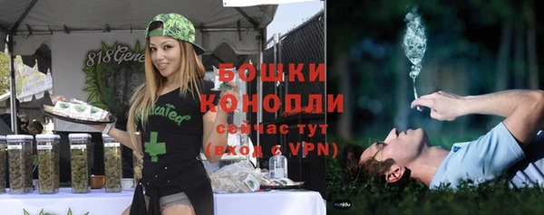 apvp Богданович
