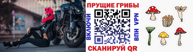 Галлюциногенные грибы GOLDEN TEACHER  Белоозёрский 